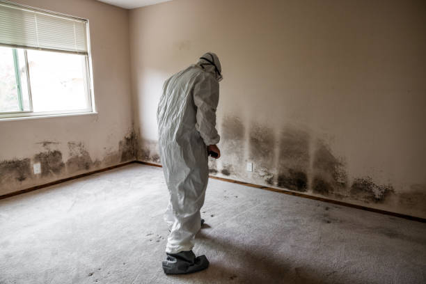 Best Emergency Mold Remediation  in Victoria, VA